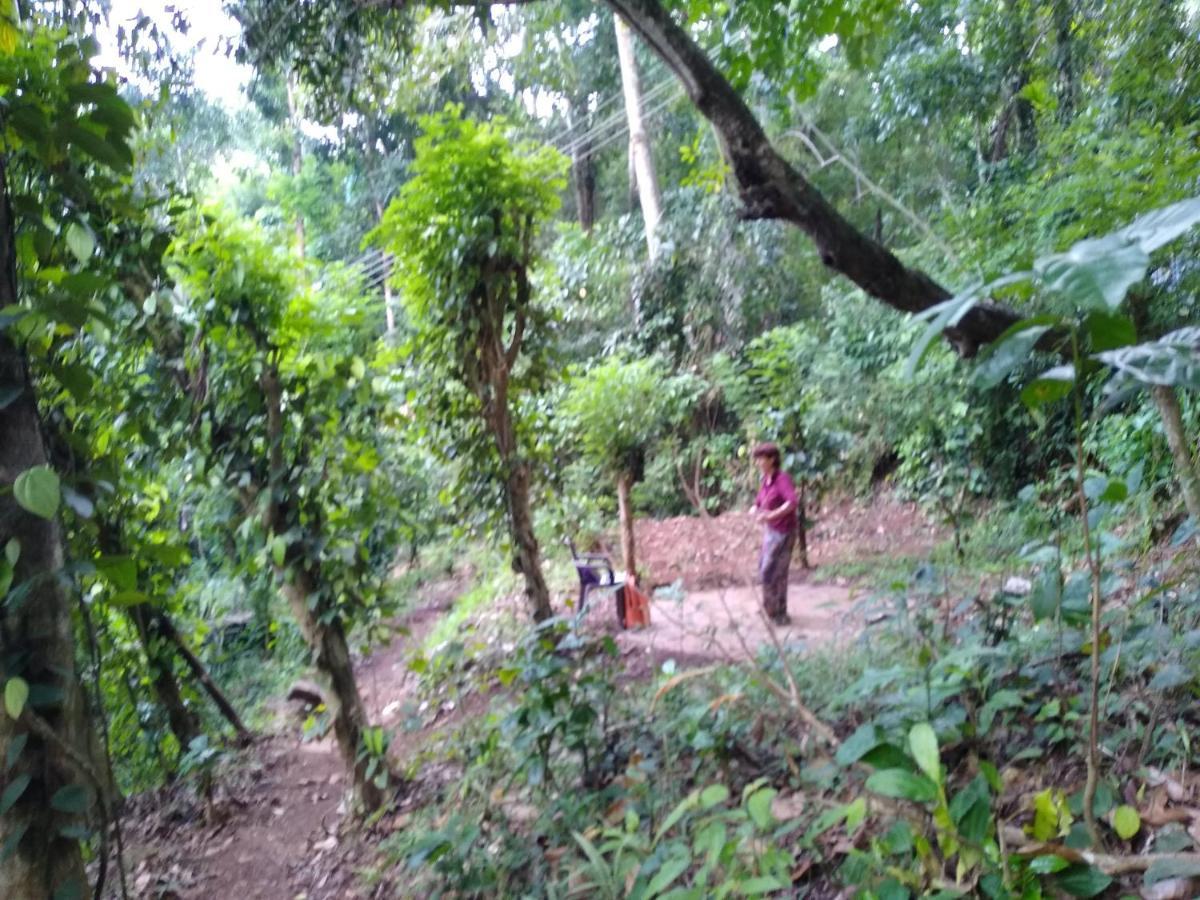 The Pepper Cottage Gomagoda المظهر الخارجي الصورة