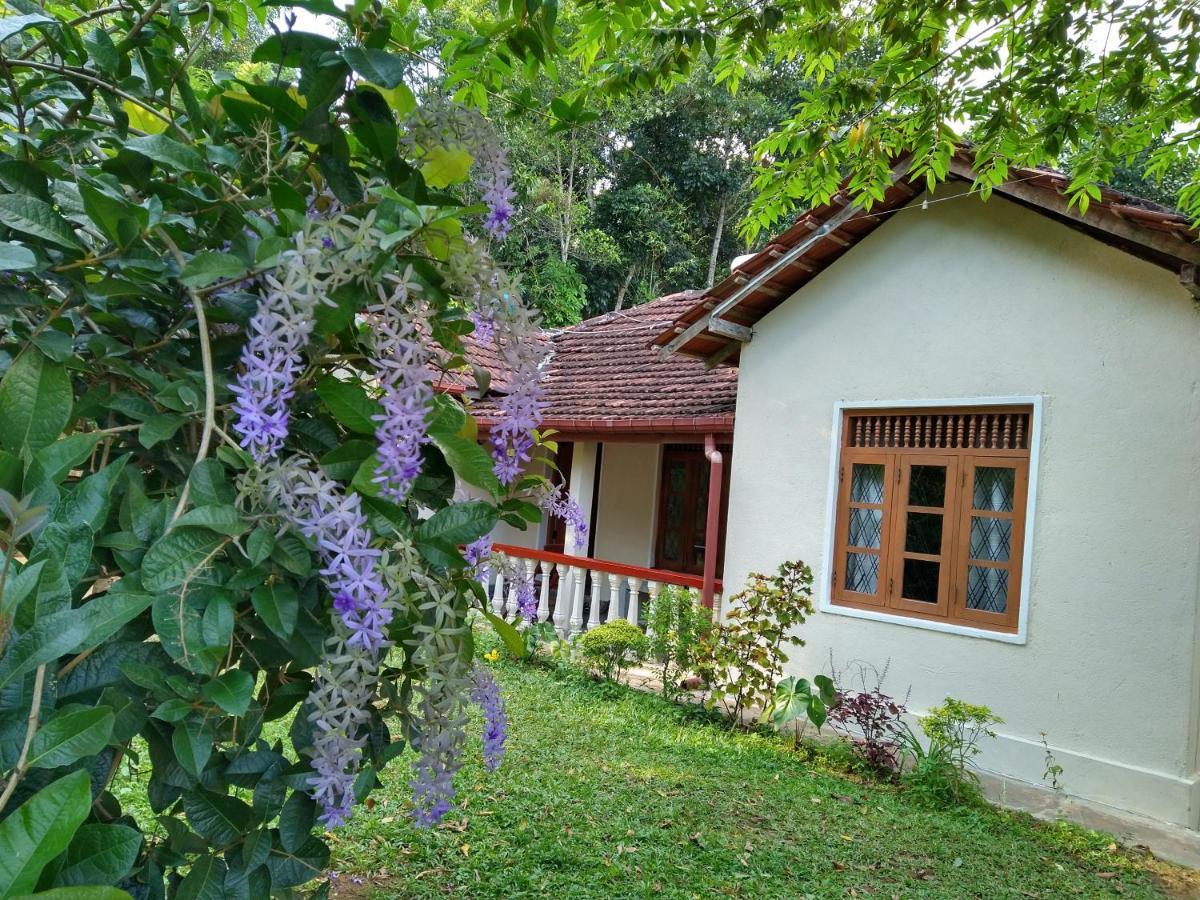 The Pepper Cottage Gomagoda المظهر الخارجي الصورة