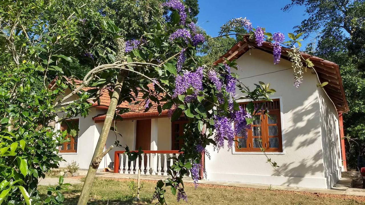 The Pepper Cottage Gomagoda المظهر الخارجي الصورة
